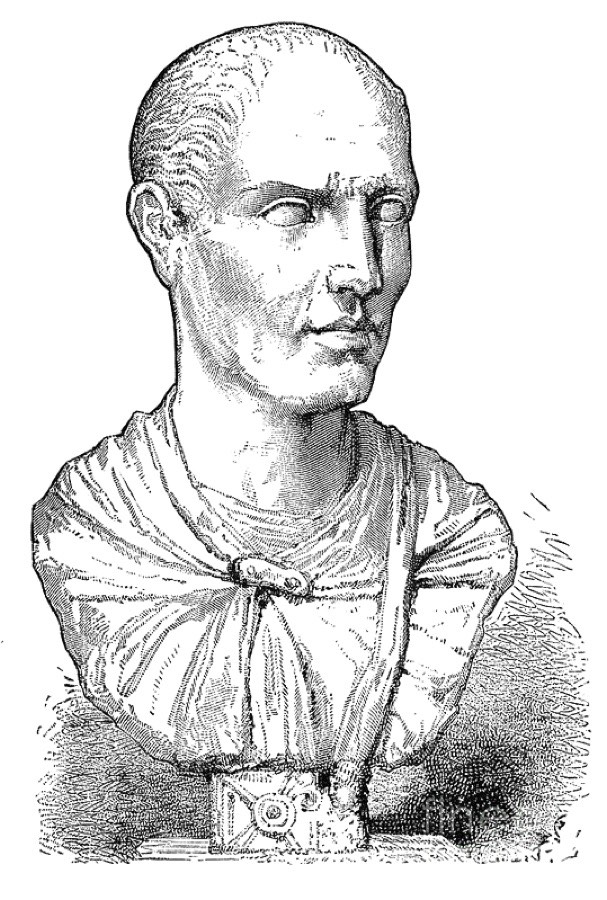 Buste de Lucius Licinius Lucullus, gravure ancienne